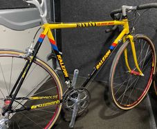 raleigh banana