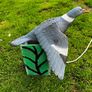decoy pigeon Image 8