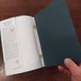 1948 The Course of Irish Verse Image 3