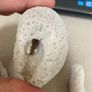 Coral Natural lot of three Image 7