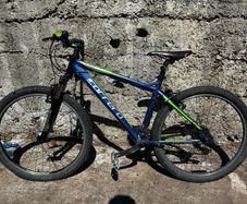 carrera mountain bike