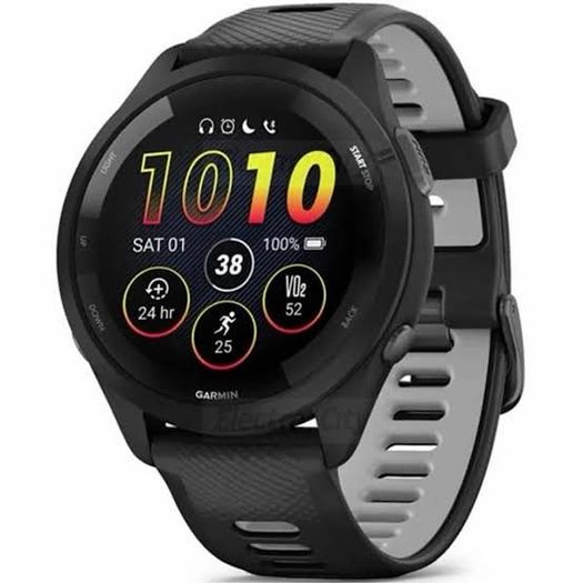 Garmin 265 Music