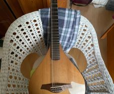 Cittern