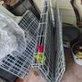 Crate,cage,pets,dogs Image 2