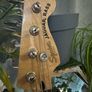 Squier Aff. Jaguar Bass Image 6
