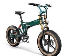 Fiido M1 Pro Electric Bike