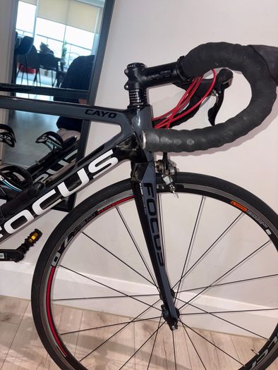 Focus Cayo Carbon Road Bike