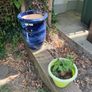 plant pots job lot Image 6