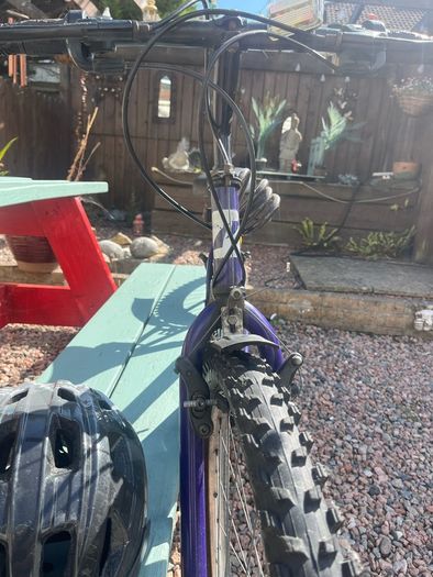 bike size 24