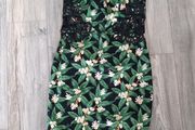 Oasis Ladies Dress size 12