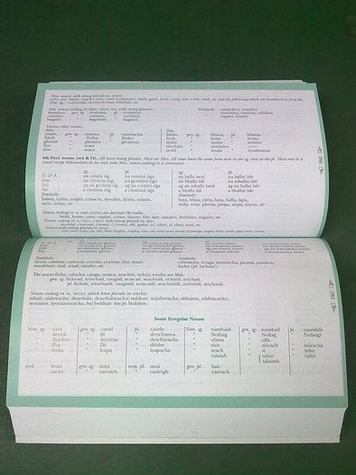 Focloir Irish - English and English - Irish dictionary Ireland Gaeilge