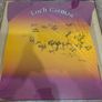 2004 leinster champions wexford GAA framed and signed jersey Image 2