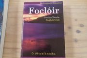 Focloir Irish English Dictionary