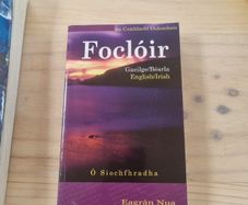 Focloir Irish English Dictionary
