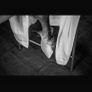 Zara Feathered Mules - Wedding Slipper Image 2