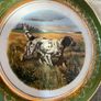 1960 Arklow Pottery Decorative plates [PAIR] Image 2