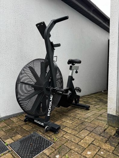 Rogue Echo Bike