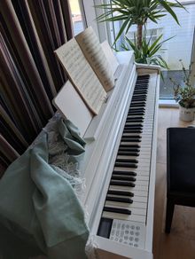 Piano Casio CA501W