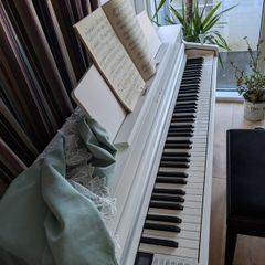 Piano Casio CA501W