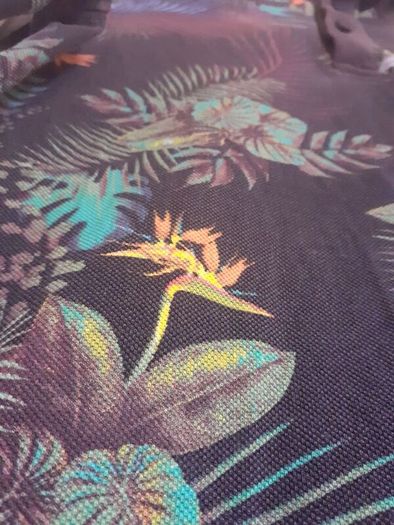men's polo