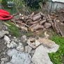 free logs Image 3