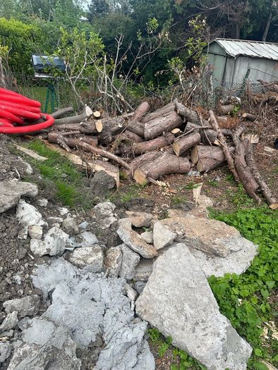 free logs