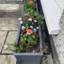 Grey JC & Co Rectangular Trough Flower Pots- 2 available Image 3