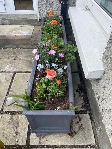 Grey JC & Co Rectangular Trough Flower Pots- 2 available