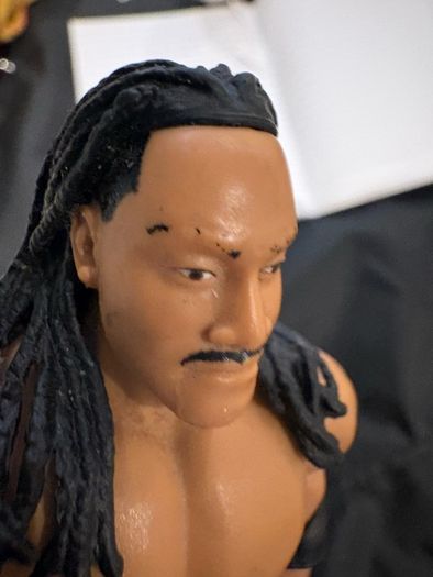 wwe lot