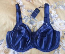 Fantasie Bra BNWT Includes Postage