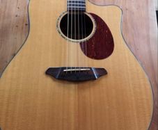 Breedlove Atlas series AD25/SM
