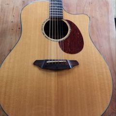 Breedlove Atlas series AD25/SM
