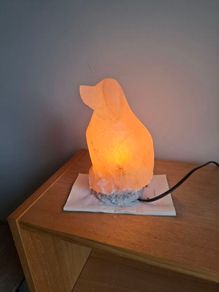 Salt Lamp (dog)