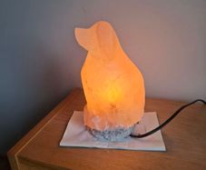 Salt Lamp (dog)