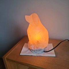 Salt Lamp (dog)