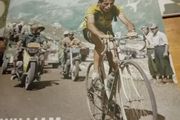 Fallen Angel   The Passion of Fausto Coppi