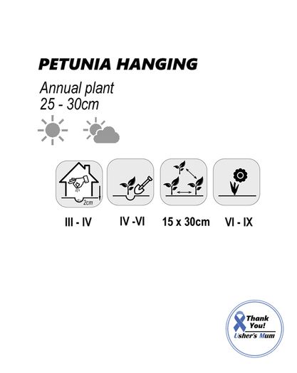 (P) Petunia Hanging  seeds 0.2g (414420)