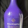 Jagermeister telling whiskey gin empty bottles Image 4