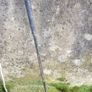 putter Image 6