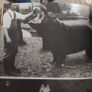 Dublin Zoo,interest/Some of my best Friends are Animals/ Terry Murphy Image 7