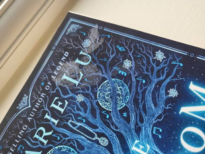 The kingdom of back paperback