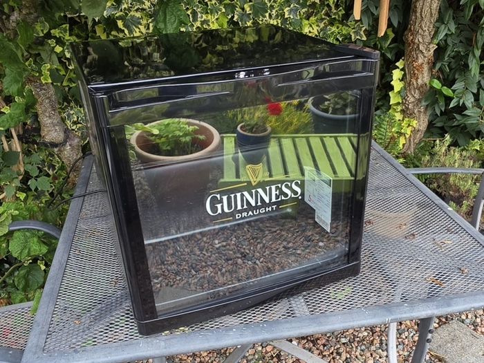 Guinness Drinks Cooler