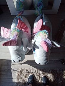 slippers