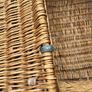antique basket Image 6