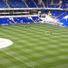 Tottenhamfan