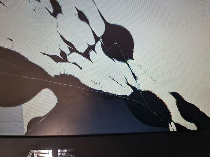 Laptop Asus  Model CX1100CN  for parts