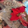 Floristry stock Image 9