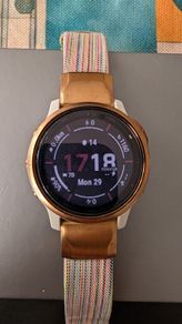 Garmin 6s Pro