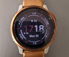 Garmin 6s Pro