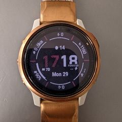 Garmin 6s Pro